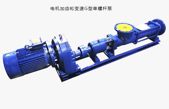 电机加齿轮变速G型单螺杆泵图1-3